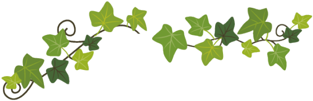 6月最新电影,先看一下~~