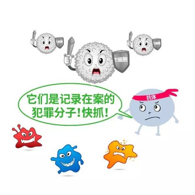肿瘤是如何逃脱人体免疫防线的?