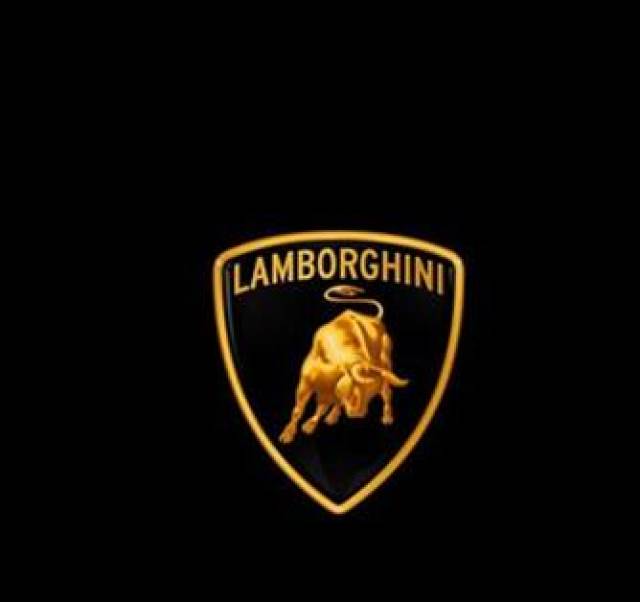 兰博基尼lamborghini: 公司的标志是一头浑身充满了力气,正准备向