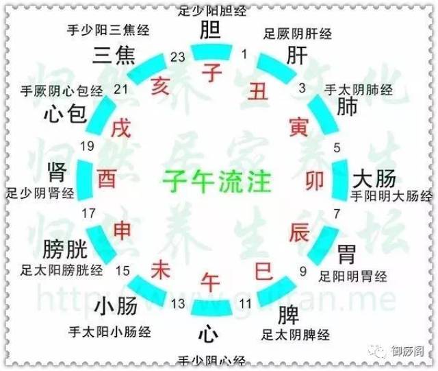 倪师根据子午流注理论给我们做出了解释.如何提早发现癌症呢?