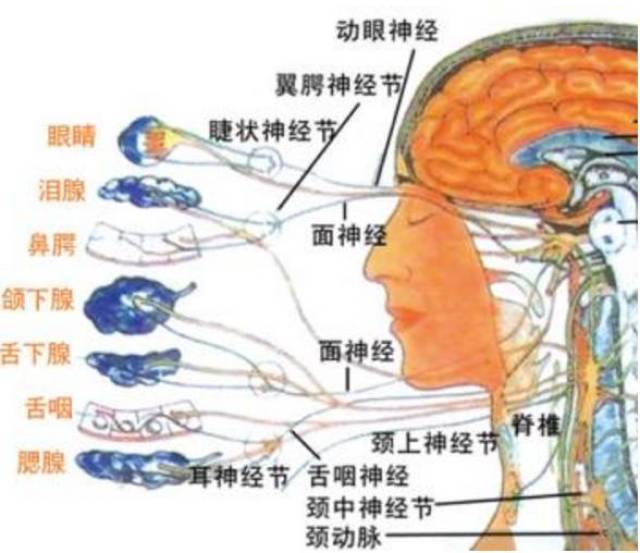 针刀治疗偏头痛有绝招!