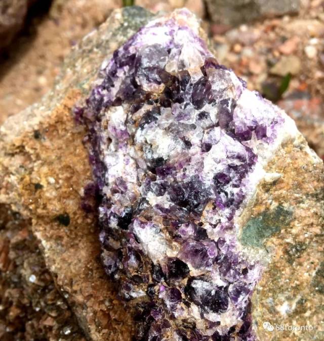 安省竟然有一个遍地紫水晶的地方,任捡任拿,太浪漫了