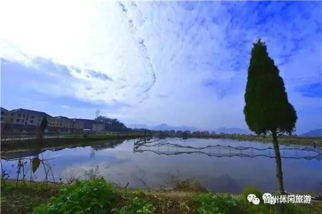 青山碧水,掩映着幢幢多彩的小洋楼,犹如一幅乡村水墨画.