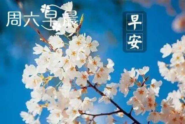 漂亮早安图片鲜花带字 新的一天开始早安心情说说句子