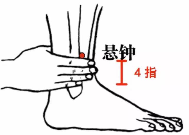 (2)艾灸取穴:悬钟