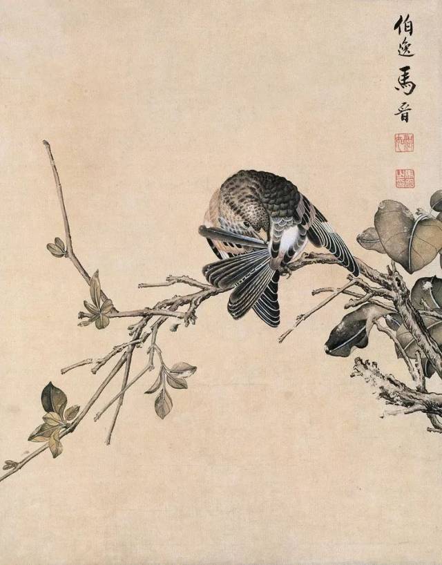 融和中西|工笔写实画家马晋(85幅)