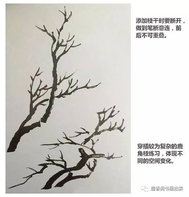 国画基础|露根法和鹿角法画树木