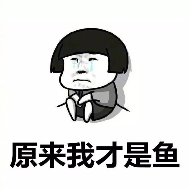 萌新君主:钓鱼,到底该怎么玩o(╥﹏╥)o