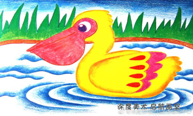 涂度美术 儿童画画——鹈鹕妈妈的大嘴巴