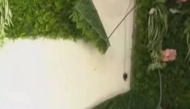 情侣酒店开房后不久,发现自己40分钟的私密视频