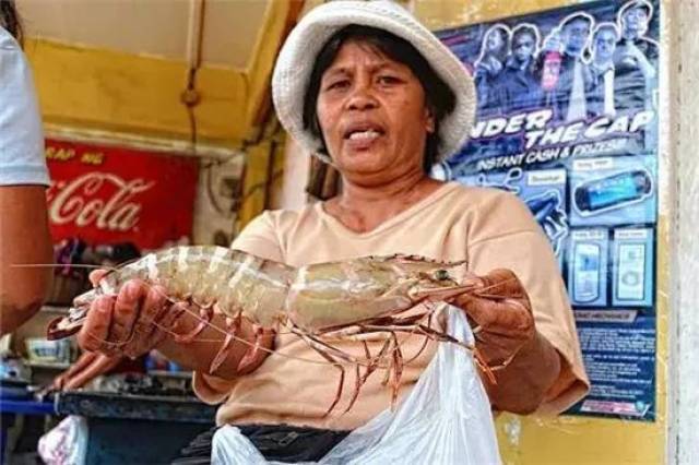 世界最大的虾,竟比手臂还长!