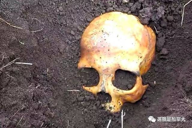 他从自家院子里活活挖出了一个死人的头骨!