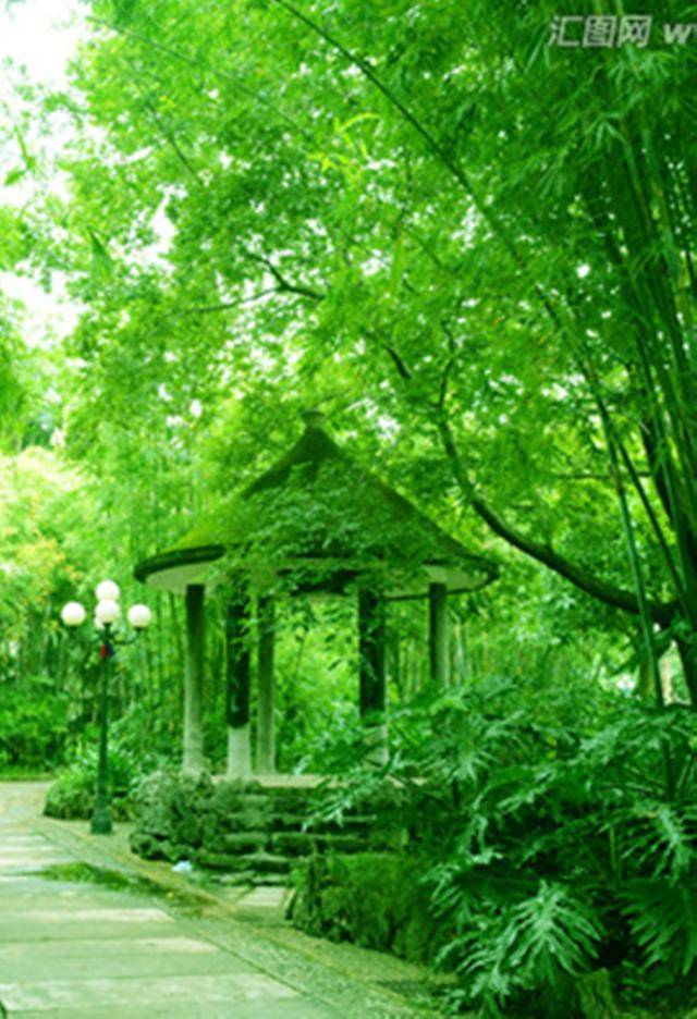 ֻֽ͸,Ըƽ,鳤