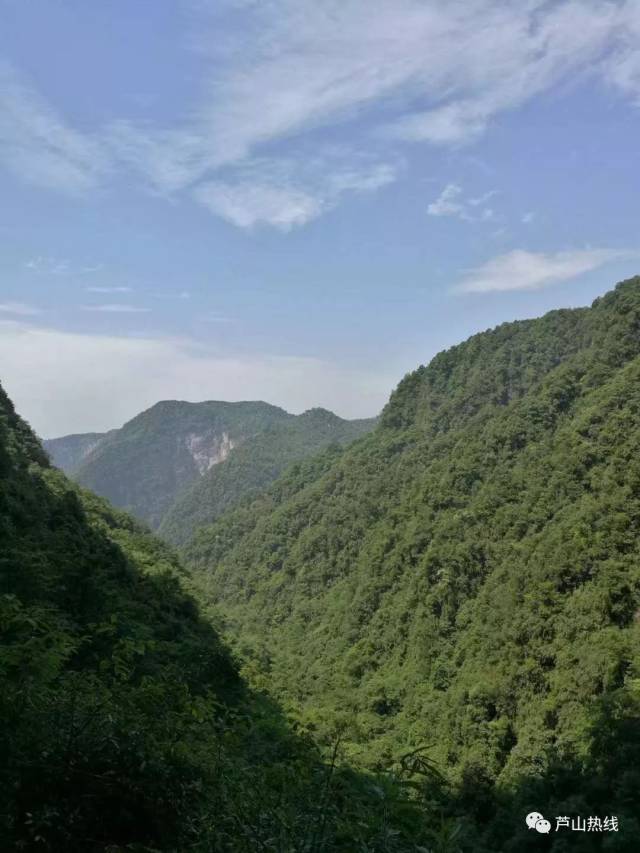 1998年6月,灵鹫山与大雪峰同时被省政府批准为省级风景名胜区.