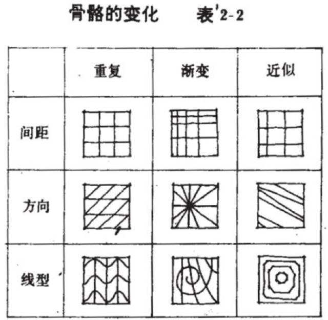 骨骼的变化