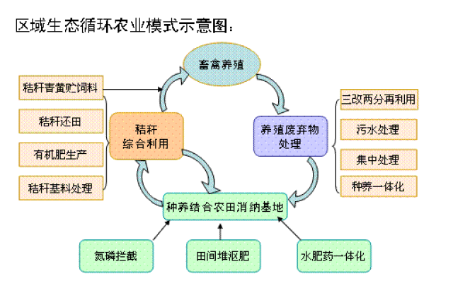 国家秸秆产业联盟丨几种常见的生态循环农业模式