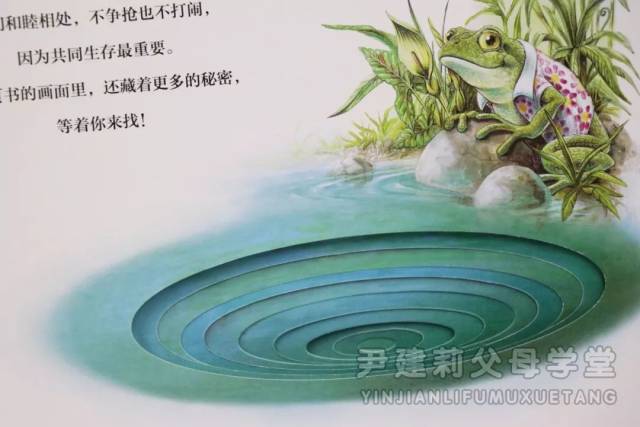 3~80岁抢着看的绘本,解谜考眼力,比比,你快还是孩子快