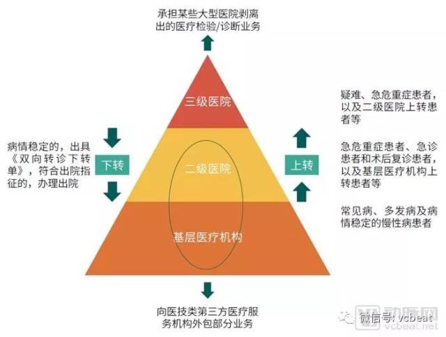 中国第三方医疗服务行业白皮书2018:10类机构,两大驱动因素下的不同