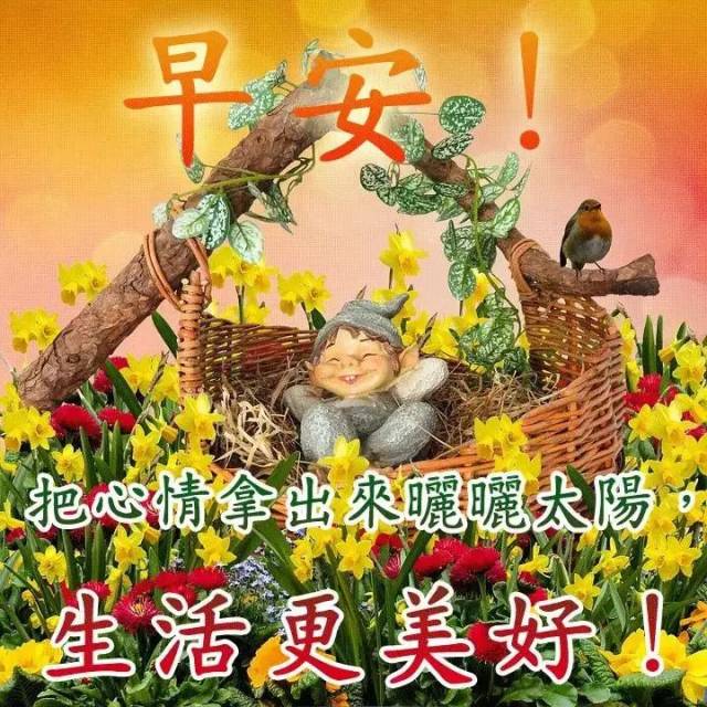 2019最漂亮早上好动态图片 新的表情图片加问候句子