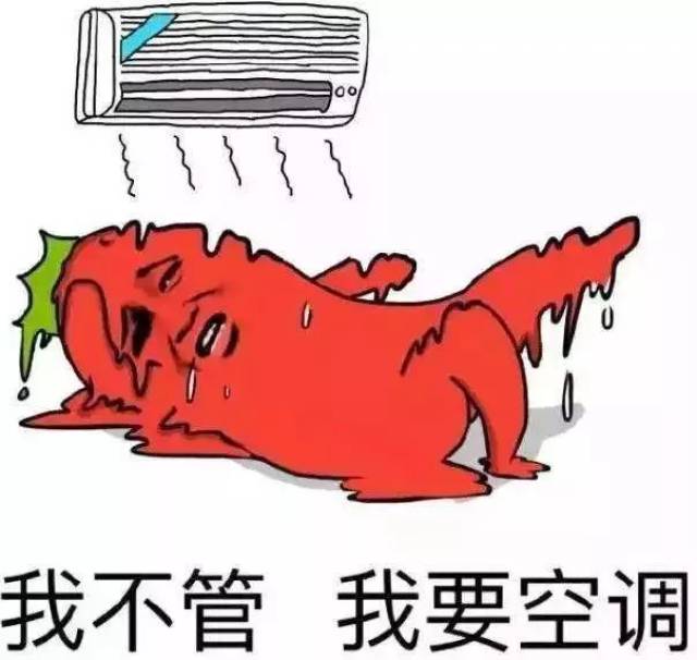 就自觉地"哪儿凉快哪呆着去"的季节了, 38℃的高温里,全靠空调续命