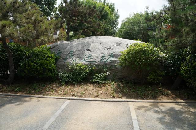 2018哥德杯中国世界青少年足球赛即将启幕 走