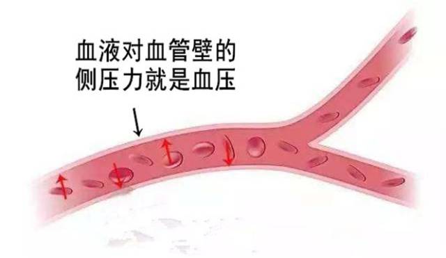 【三高微课堂】血压到底是怎么升高的?