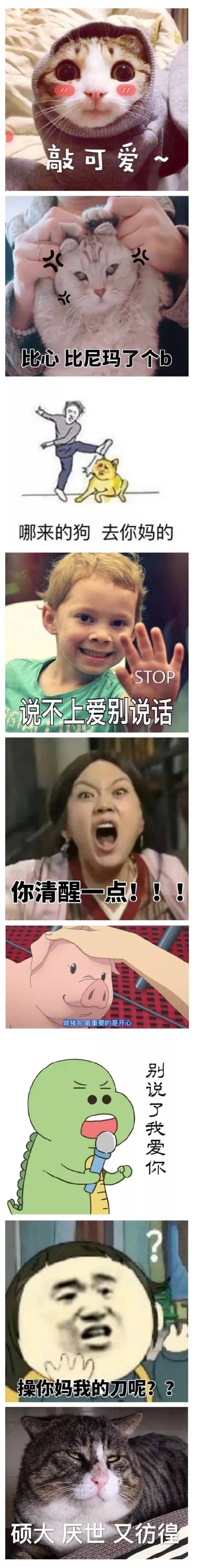 斗图合集丨有趣好玩的表情包合集