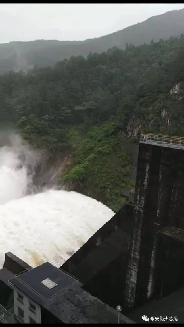 哇槽!永安朋友圈被安砂水库这个泄洪鱼鱼鱼刷屏掉