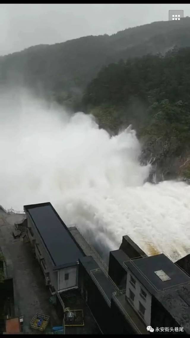 哇槽!永安朋友圈被安砂水库这个泄洪鱼鱼鱼刷屏掉