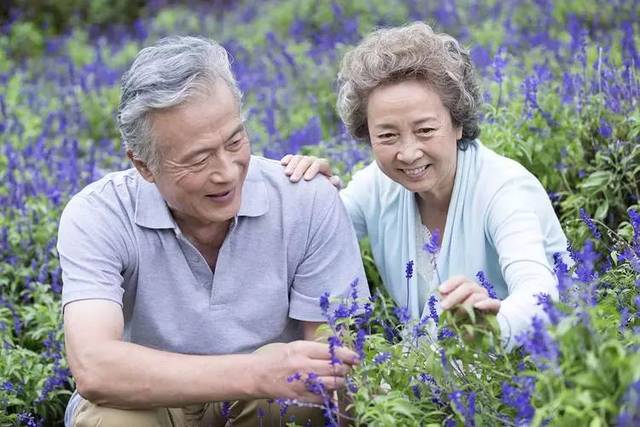 北大教授:促进我国老年人健康养老的建议