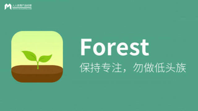 产品分析:forest 专注森林