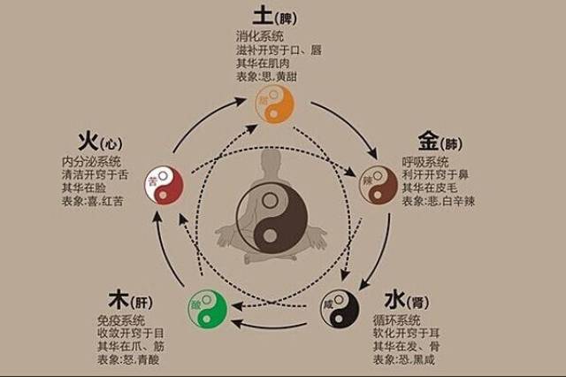 从了解"五脏毒素",继而科学排毒