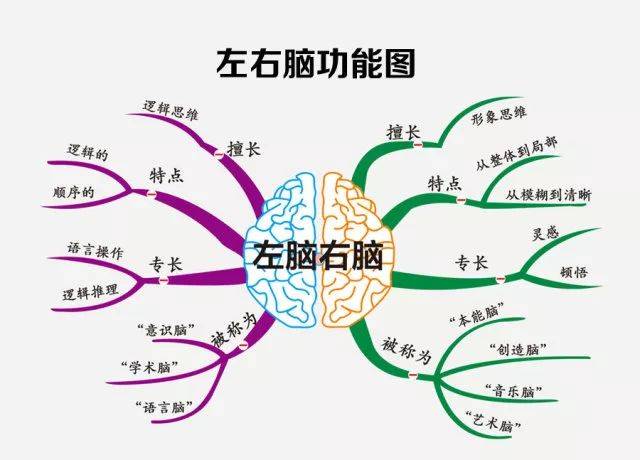 【1折体验】可能改变孩子一生的课程 思维导图 最强大脑记忆法