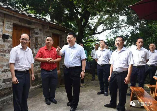 李延强到东兴市调研重大项目建设等工作