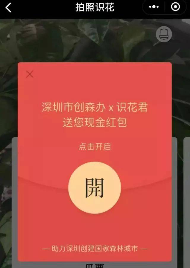 识花达人可赢4999元现金?是的!赏花红包"圳"在派!