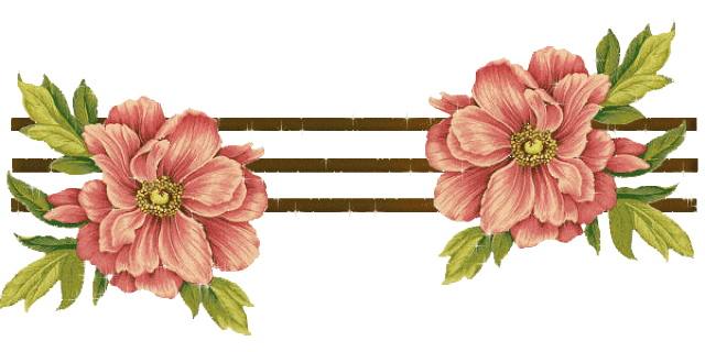 让认证引领美业实现转型升级 健康美容服务认证