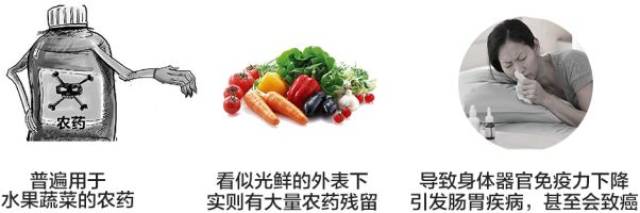 99%的人洗菜方法都错了！10分钟洗掉农药、蜡质、寄生虫，就靠它！