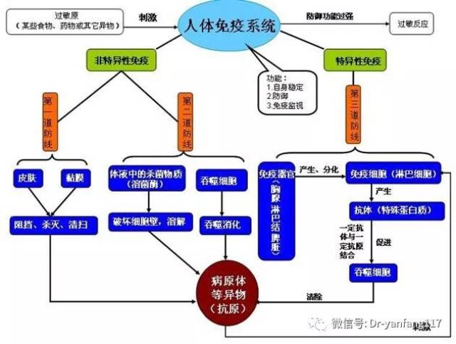 特别是能量代谢,如脂代谢,糖代谢,蛋白代谢异常,突出的异常还有骨代谢