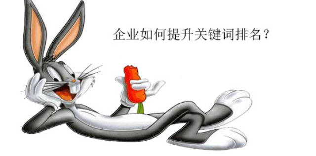 企业如何提升关键词排名？