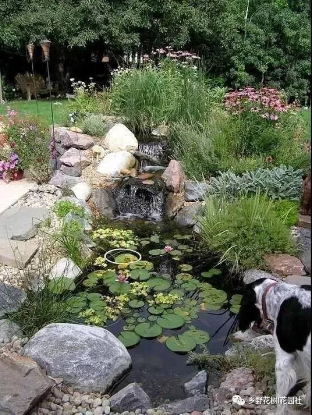 动手在自家院子里建个池塘吧!