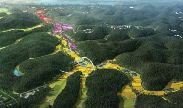 常山国际慢城——渣濑湾花谷鸟瞰图