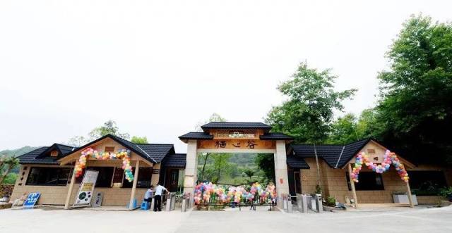 比朱自清《荷塘月色》更仙的,竟然在三门一处高山完美