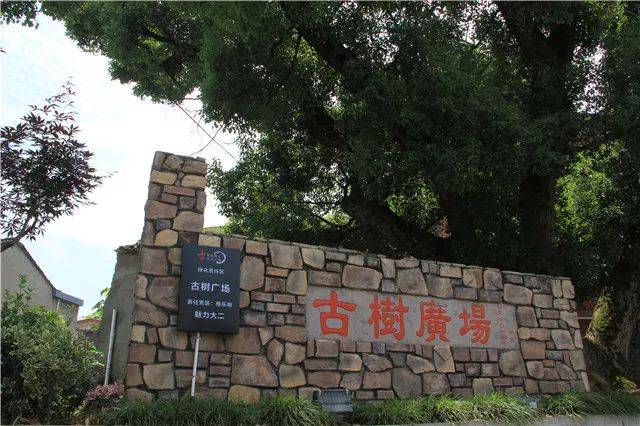 自20年以来,大同二村通过三个自然村入村口景观小品改造,村要道路