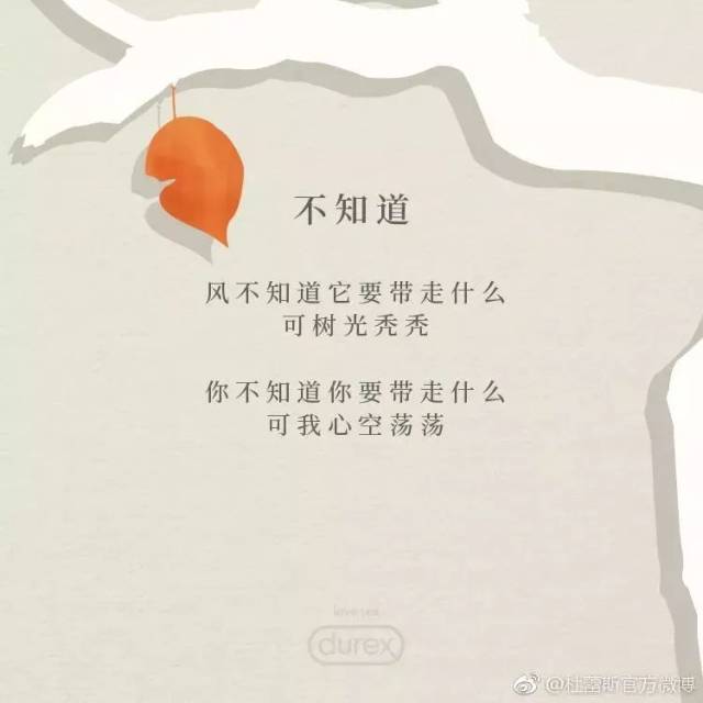 风不知道它要带走什么 可树光秃秃 你不知道你要带走什么 可我心空荡