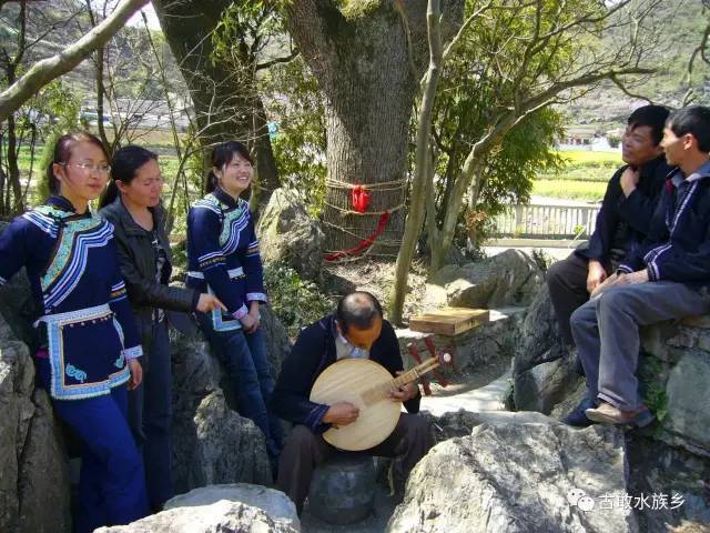 富源古敢水族"对歌节",很多富源人都没有见过.