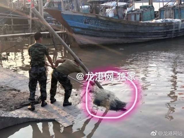 突发:苍南江边发现一具男尸