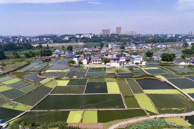 富顺县东湖镇卷坝新农村