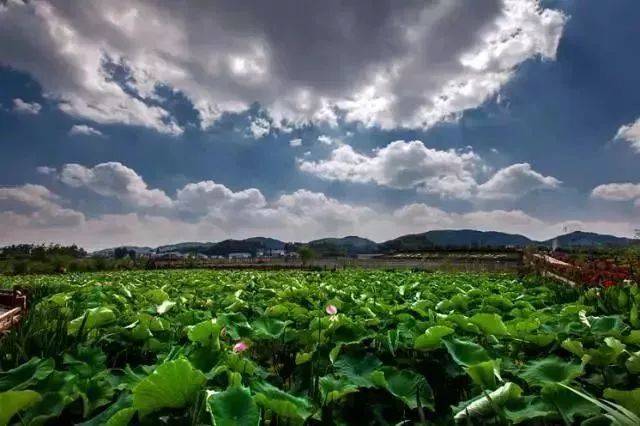 蓬莱仙界·休闲农业旅游区位于贵阳市白云区牛场乡,是全国休闲农业与