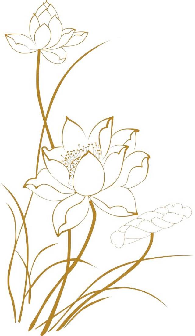 莲是莲科莲属多年生草本出水植物,又称莲花,荷花,荷,古称芙蓉.