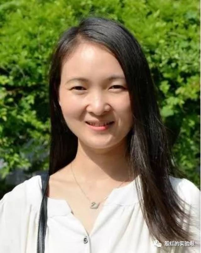 【实验之美176】国际部18:难忘河南省实验中